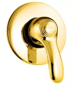 Смеситель Fiore Jafar 47GO5130 для душа