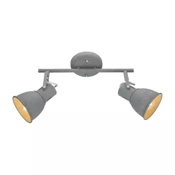 Спот Arte Lamp A1677PL-2GY