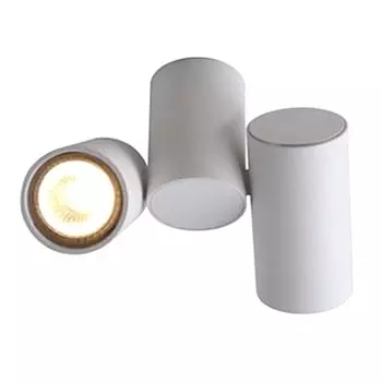 Спот Arte Lamp Gavroche A1511PL-2WH