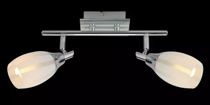 Спот Eurosvet 20129/2 хром