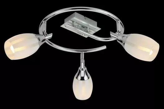 Спот Eurosvet 20130/3 хром