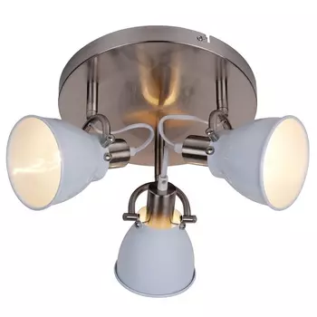 Спот Zumaline Pictor RLX94023-3W