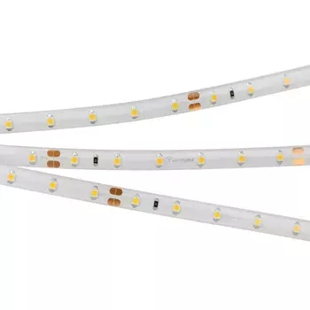 Светодиодная лента герметичная Arlight RTW-SE-A60-8mm 24V Day4000 024260(2)