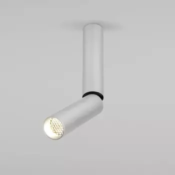 Светодиодный спот Elektrostandard Pika 25029/Led серебро a061111 4690389188244