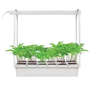 Светодиодный светильник для растений (UL-00004149) Uniel Minigarden ULT-P34-10W/SPSB IP40 White 12