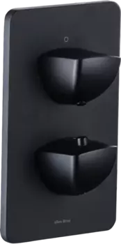 Термостатический смеситель Allen Brau Infinity 5.21216-31 С ВНУТРЕННЕЙ ЧАСТЬЮ, матовый черный