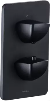 Термостатический смеситель Allen Brau Infinity 5.21316-31 С ВНУТРЕННЕЙ ЧАСТЬЮ, матовый черный