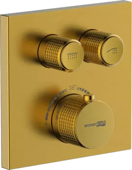 Термостатический смеситель Wasserkraft Aisch 5548 Thermo С ВНУТРЕННЕЙ ЧАСТЬЮ, для душа, матовое золото PVD