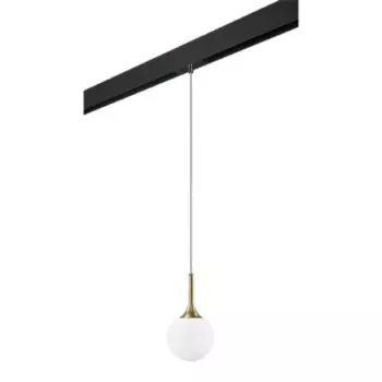 Трековый светильник Lightstar Globo (813012+595007) PRO813012