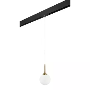 Трековый светильник Lightstar Globo (813013+595007) PRO813013