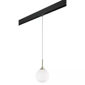 Трековый светильник Lightstar Globo (813023+595007) PRO813023