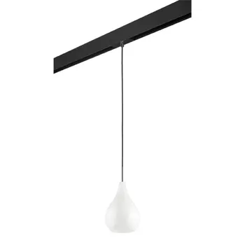 Трековый светильник Lightstar Pentola (803030+595007) PRO803030