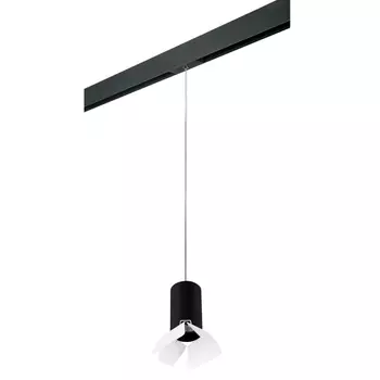 Трековый светильник Lightstar Rullo (214437+595857+202436) PRORP437436