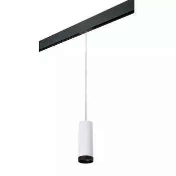 Трековый светильник Lightstar Rullo (214486+595857+203437) PRORP4863437