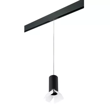 Трековый светильник Lightstar Rullo (214487+595857+202436) PRORP487436