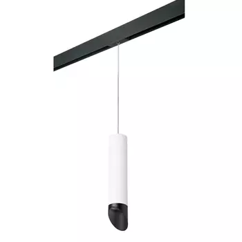 Трековый светильник Lightstar Rullo (214496+595857+201437) PRORP49637