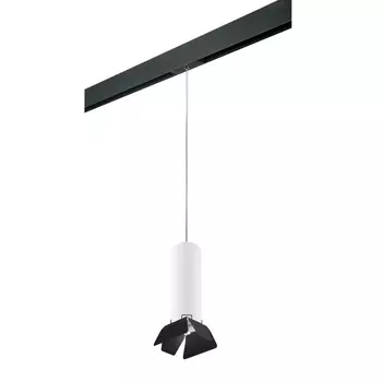 Трековый светильник Lightstar Rullo (214496+595857+202437) PRORP496437