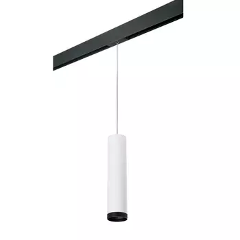 Трековый светильник Lightstar Rullo (214496+595857+203437) PRORP4963437