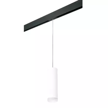 Трековый светильник Lightstar Rullo (216496+595887+202480) PRORP649680