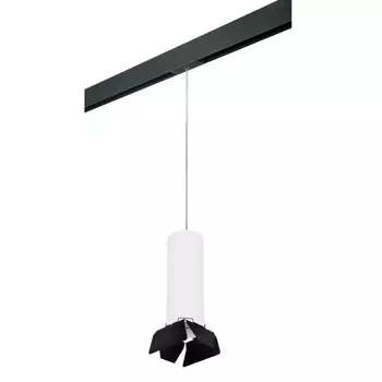 Трековый светильник Lightstar Rullo (216496+595887+202487) PRORP6496487