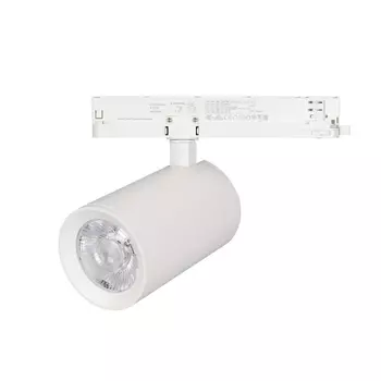 Трековый светодиодный светильник Arlight LGD-Nika-4TR-R100-40W Day4000 031175 /031175