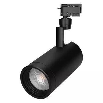 Трековый светодиодный светильник Arlight LGD-Zeus-2TR-R100-30W Day5000 026612 /026612
