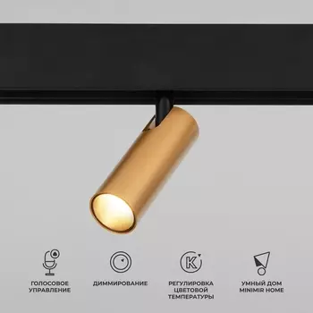 Трековый светодиодный светильник Elektrostandard Slim Magnetic Dim Cubo 85070/01 латунь a063529 4690389195280