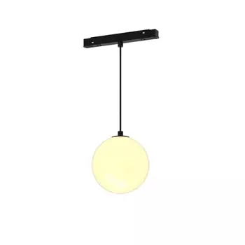 Трековый светодиодный светильник Maytoni Technical Luna TR039-2-5W3K