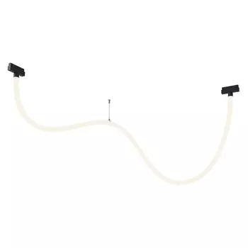 Трековый светодиодный светильник Maytoni Technical Tau TR101-2-50W4K-B