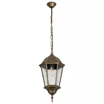 Уличный подвесной светильник Arte Lamp Genova A1204SO-1BN