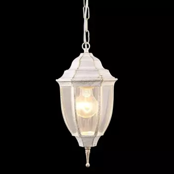 Уличный подвесной светильник Arte Lamp Pegasus A3151SO-1WG