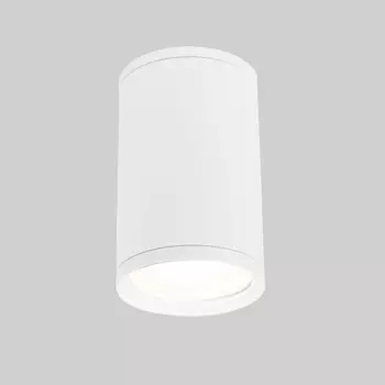 Уличный светильник Elektrostandard Light 35128/H белый 4690389175893