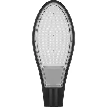 Уличный светодиодный консольный светильник Feron SP2925 32217 /32217