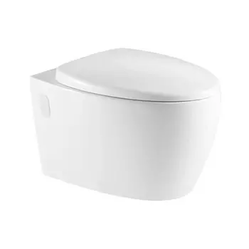 Унитаз Azario Deya AZ-2115 микролифт