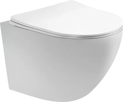 Унитаз подвесной Акватек Европа AQ1900-00 безободковый