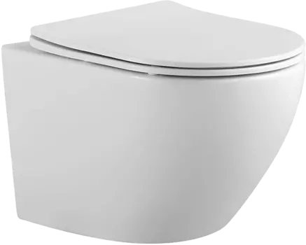 Унитаз подвесной Акватек Европа AQ1901-00 безободковый