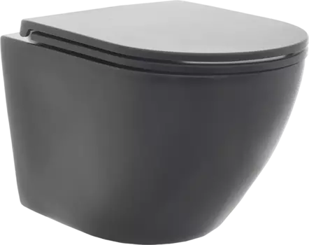 Унитаз подвесной AQUAme AQM2002MB безободковый, с микролифтом, черный матовый