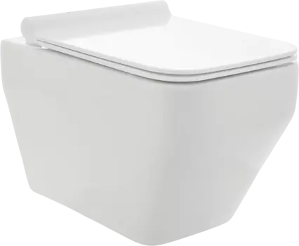 Унитаз подвесной AQUAme AQM2009 безободковый, с микролифтом