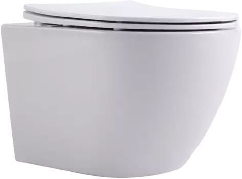 Унитаз подвесной Aquanet Cetus 249710 безободковый, с микролифтом