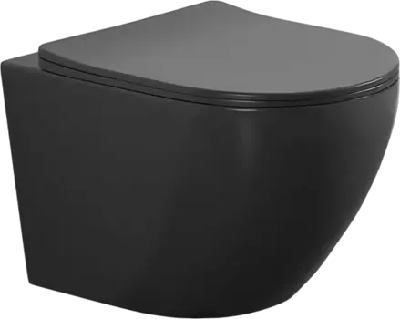 Унитаз подвесной Aquanet Cetus 279091 безободковый, с микролифтом