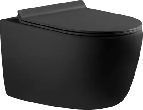 Унитаз подвесной Aquanet Cetus-BW 287008 безободковый, с микролифтом, черный матовый