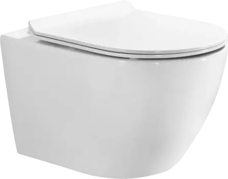 Унитаз подвесной BOND Oval F12-10 безободковый, с микролифтом, система смыва Tornado, белый