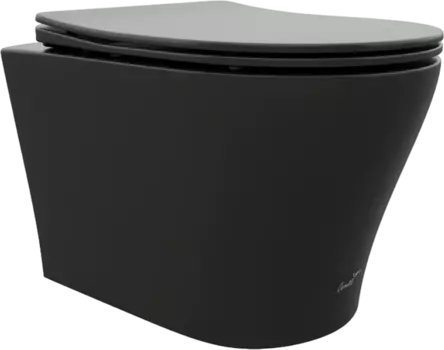 Унитаз подвесной Cerutti Spa Adige 9246 безободковый, с микролифтом, черный матовый /9246