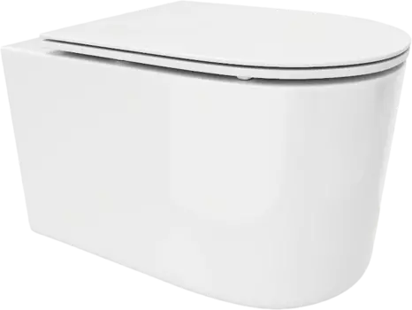 Унитаз подвесной CeruttiSpa Tanaro 9236 безободковый, с микролифтом, белый матовый /9236