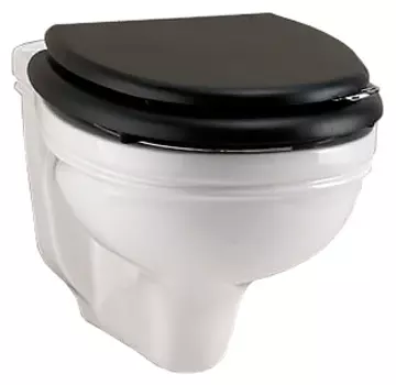 Унитаз подвесной Devon&Devon Rose IBWCSRO