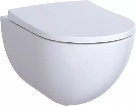 Унитаз подвесной Geberit Acanto 500.600.01.2