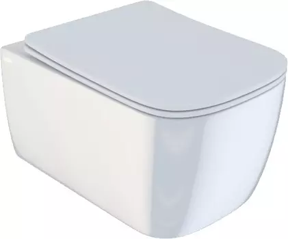 Унитаз подвесной Iddis Bridge BRIRDSEi25 сиденье с микролифтом