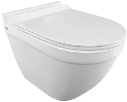 Унитаз подвесной Iddis Cloud CLORDSEi25 безободковый