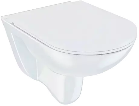 Унитаз подвесной Iddis Zodiac ZDCRDSEi25 безободковый, с микролифтом