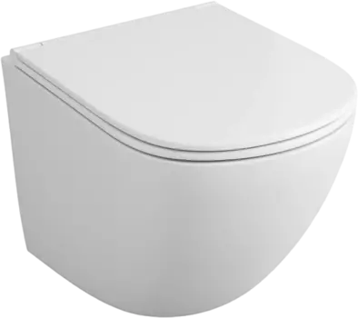 Унитаз подвесной Owl 1975 Vind TOWLT190302 безободковый